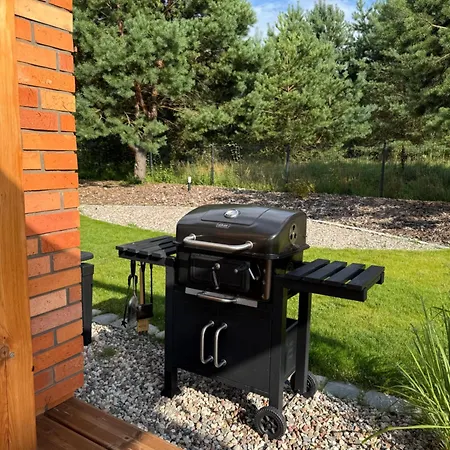 Beztroskie Barwiny Nad Jeziorem Wulpinskim Na Warmii