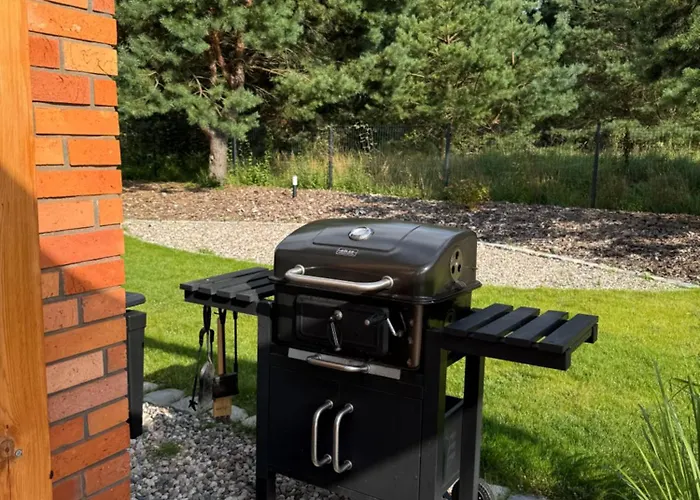 Beztroskie Barwiny Nad Jeziorem Wulpinskim Na Warmii